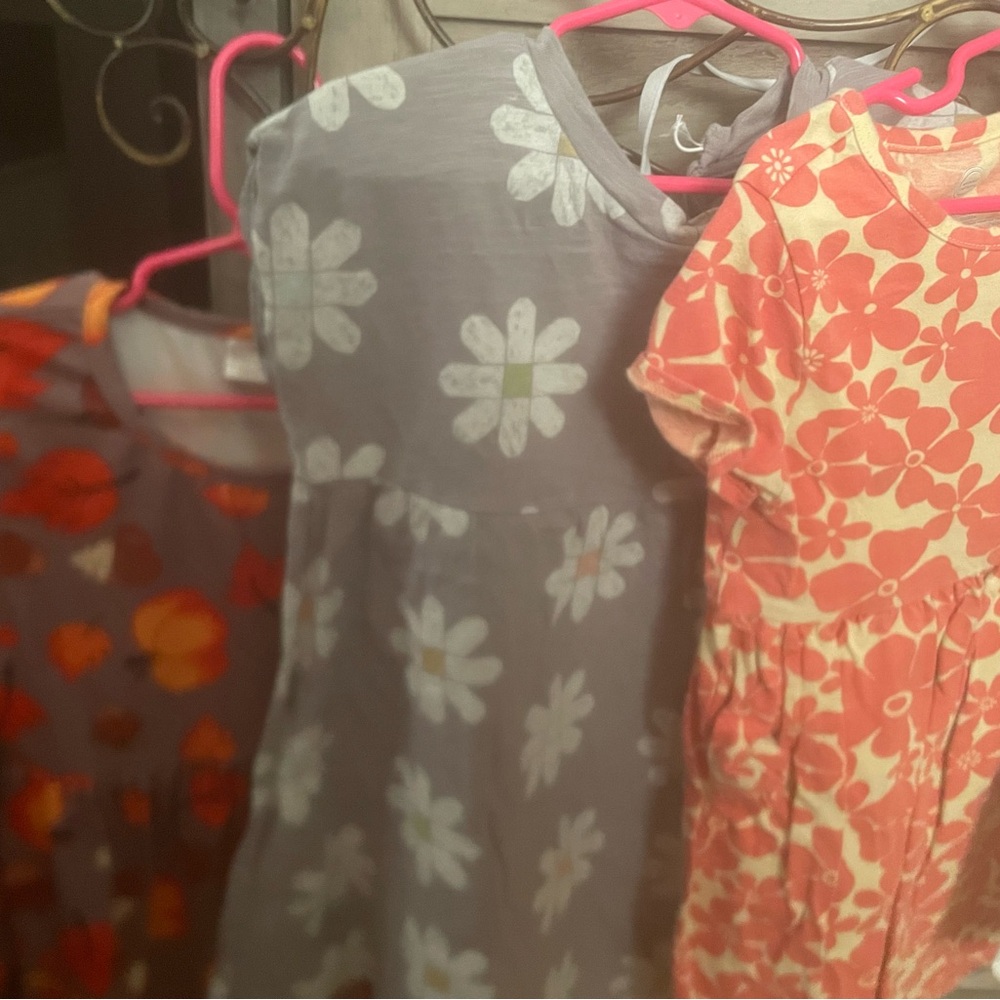 (3) Little girls dresses 3 all 5-6 lil co, wonder nation,